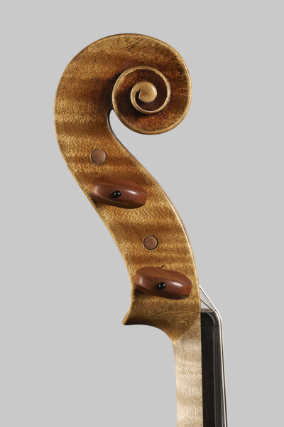 Viola-Riccio_bassa