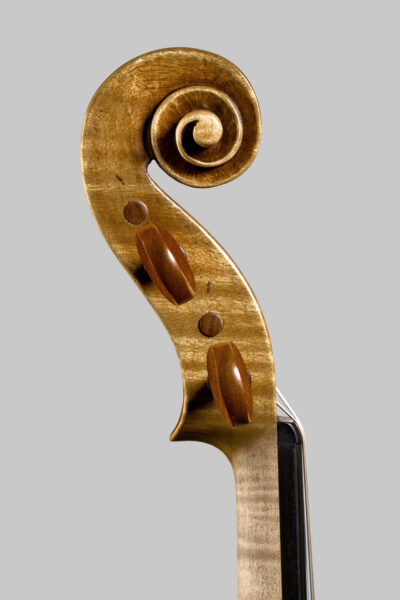 Riccio