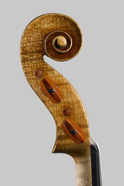 Andrea-ViolinoRiccio-2025-09_bassa